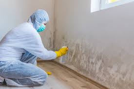 Best Crawl Space Mold Remediation  in Sutherlin, OR